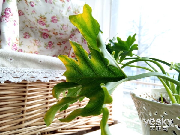 别样“视”界裸眼3D手机SuperDD1体验评测