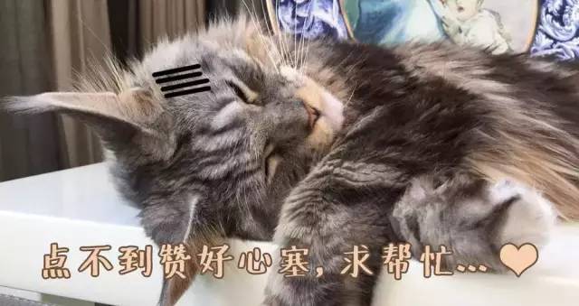 “仙境蓝”喜迎青海客人，海北州旅游局考察团来蓬莱考察学习旅游工作