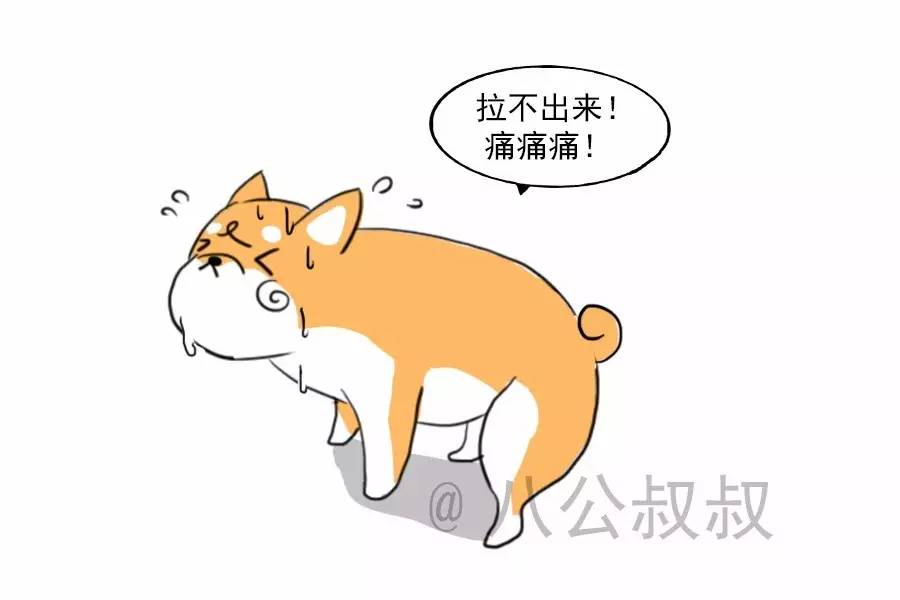 「涨姿势」狗狗便秘了，怎么办？