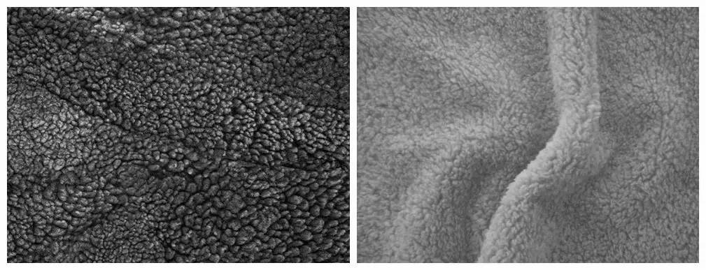 抓绒的优缺点,抓绒有几种