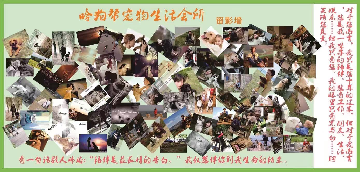 执业兽医考试临床诊断,兽医临床诊断的心得体会