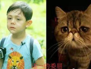 你没见过的搞笑表情包,你没见过世面表情包