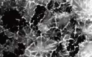 准周期材料：晶体学的范式转变