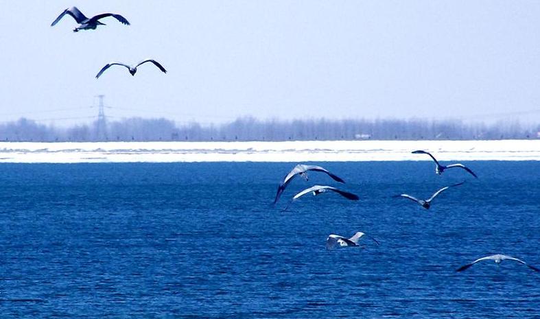 2020国庆淄博旅游景点推荐,淄博临淄一日游必去的四大景点