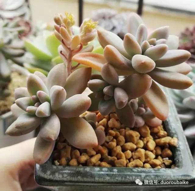 美好的时光带来快乐,美好的时光伴随着我