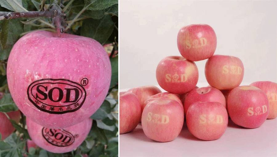 为什么说一日一苹果,一日一个苹果好处