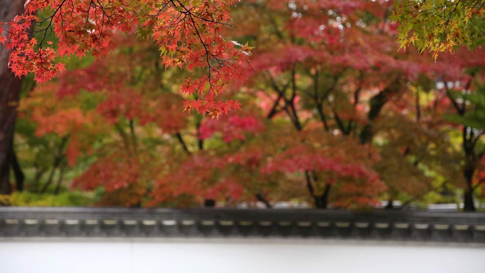 日本关西温泉圣地,日本关西房间内温泉