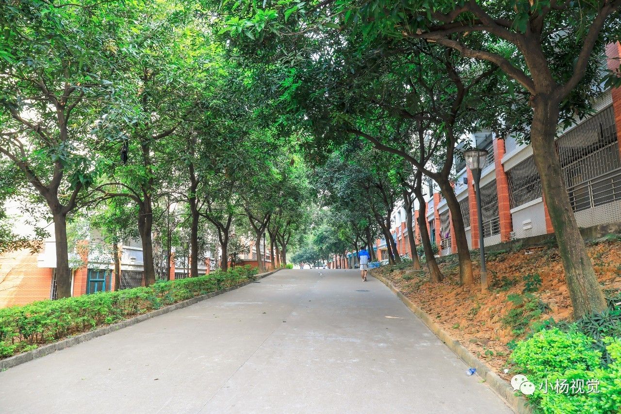 新旧老照片对比人物,新旧照片对比视频