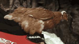 作为摄影师的“鸡”，你必须扛得起相机、拍得了防抖视频！