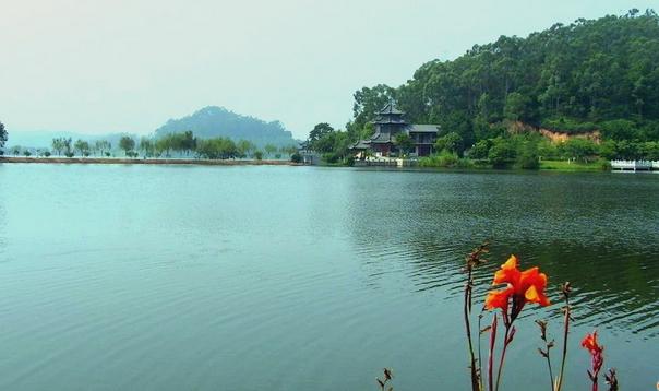 东莞周末好去处植物园,东莞适合聚餐游玩的地方
