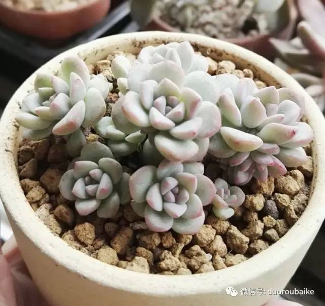 美好的时光带来快乐,美好的时光伴随着我