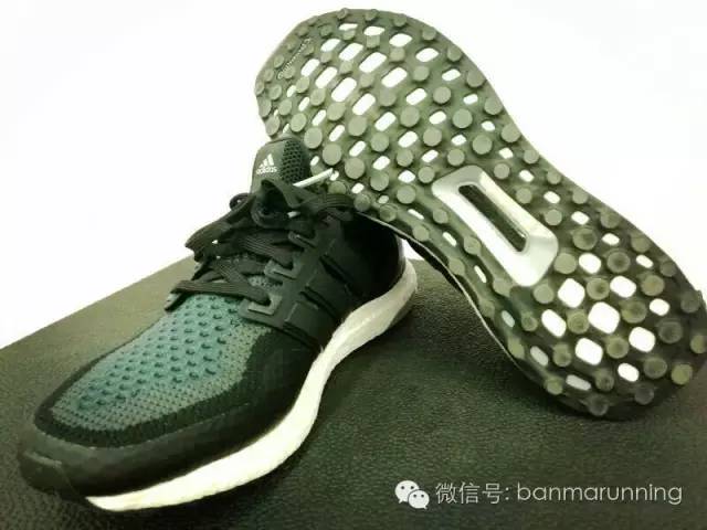 斑马测评视频,斑马测评