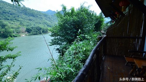 连州菜心拍卖最高价,至尊连州菜心什么价