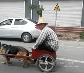 我们老板就爱抽这烟，160元一包一天基本两包