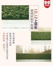 电商双十一手绘海报文案,双十二电商主图促销文案