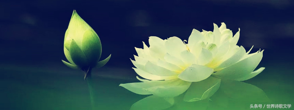 诗歌大赛第一名的诗,第一季诗词大赛