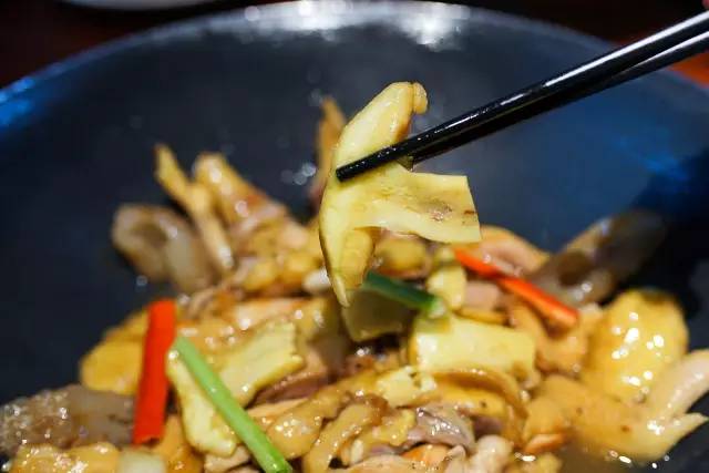 闇插彴澶氳倝鑺卞洯椁愬巺,澶氳倝妞嶇墿椁愬惂