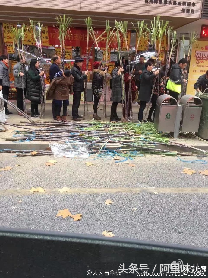 从楼下便利店到北极圈，支付宝已经停不下来啦~