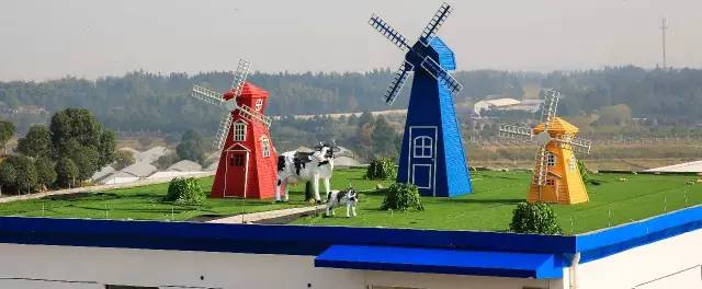 九峰万亩茶园,九峰森林动物园好不好玩