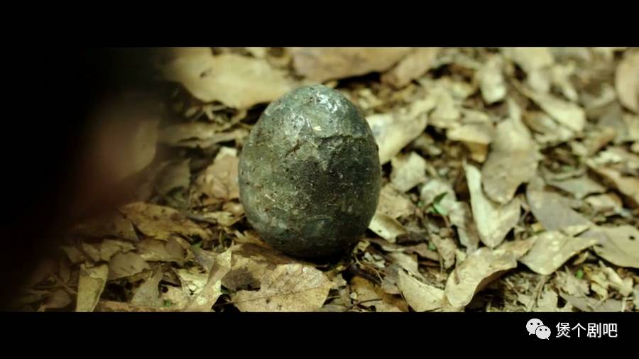 姜栋元电影截图,姜栋元最新电影叫什么