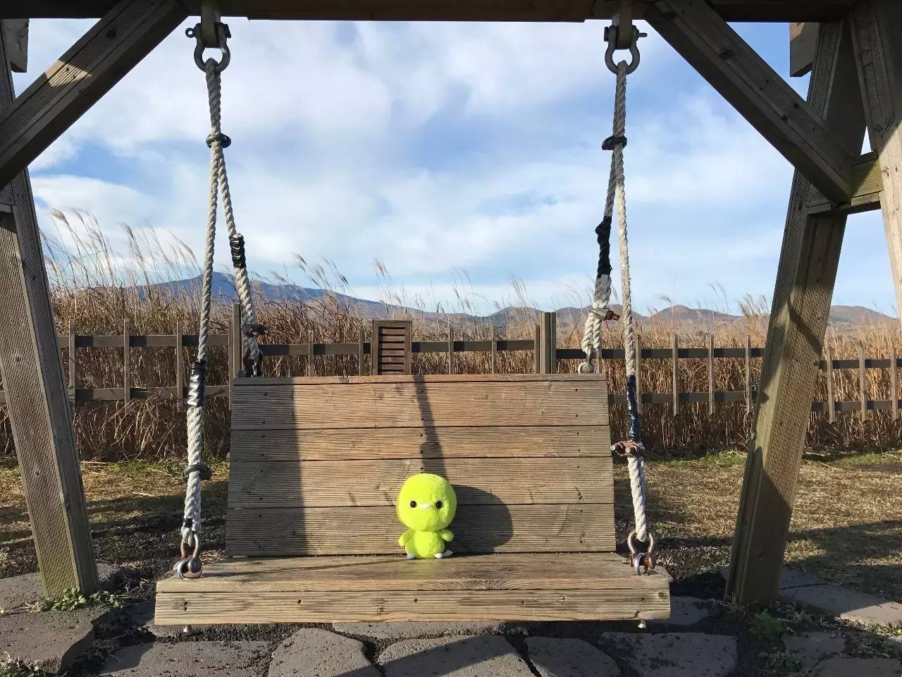 世界足球日足球初体验图片,历届世界足球日主题