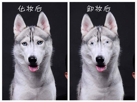 眼线卧蚕推荐新手平价,日本平价好用的眼线