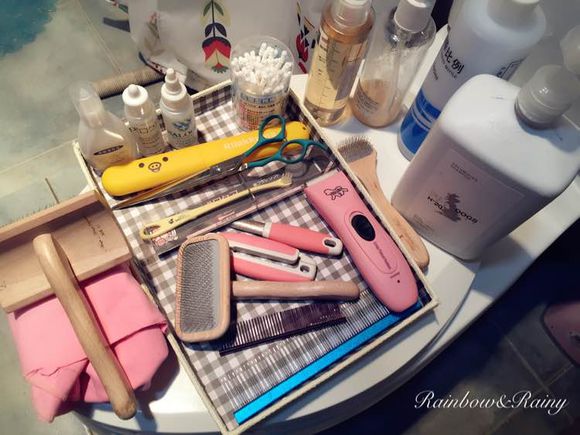 狗狗洗澡教程新手大型犬,狗狗洗澡教程新手入门