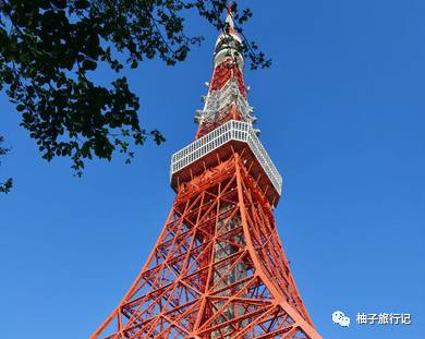 樱花旅行记全集视频,樱花季日本14天旅游攻略