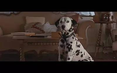 圣诞不知去哪,不如在家看这6部素食电影