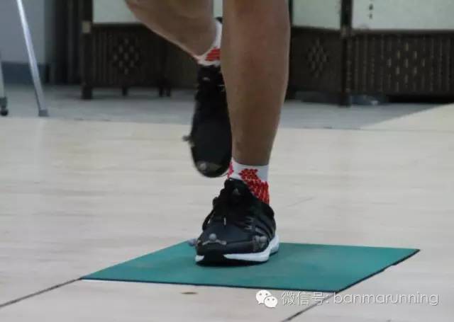 斑马测评视频,斑马测评