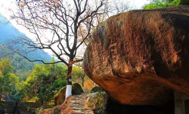 哇！一年后的瓯海瞿溪，竟然美得如此惊艳！