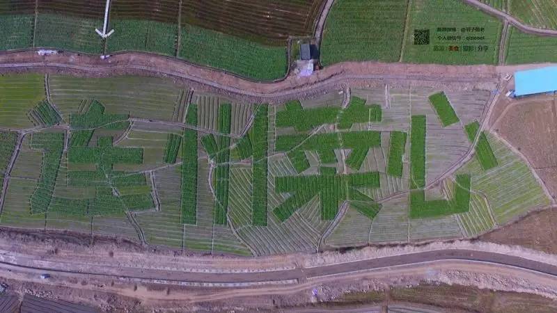 去清远连州怎样最方便,广东连州攻略