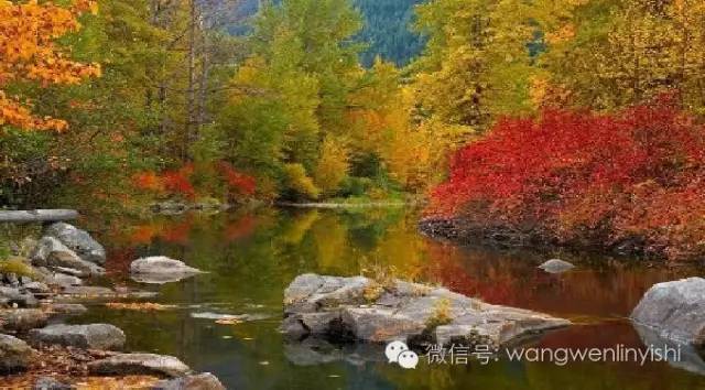 胸骨裂开要吃什么,胸骨裂缝吃什么恢复快