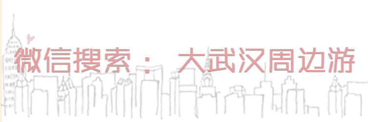 尖叫吧原版视频,尖叫吧视频完整版