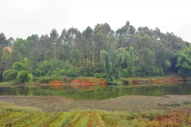 Hello!眉山车辆厂!只有东北人能看懂!