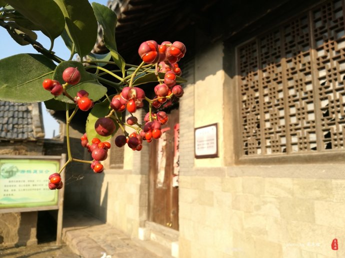 青岛哪里可以泡冰水浴,青岛什么地方可以泡温泉泡澡