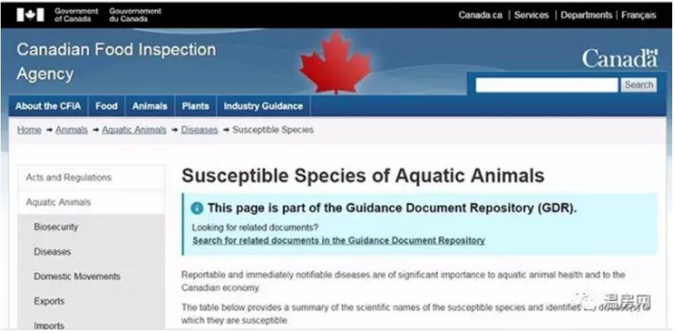 6只蜥蜴宝宝在加国海关哭了！啥情况？