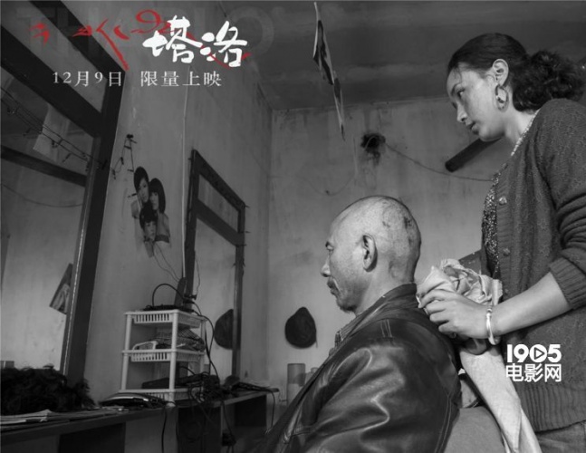 不明觉厉！《塔洛》中男人的欲望其实是黑白的