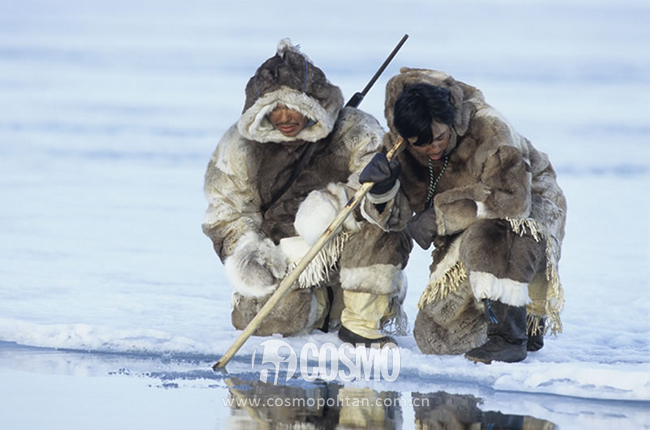 比雪地靴还好的鞋,canadagoose哪款是鹅绒