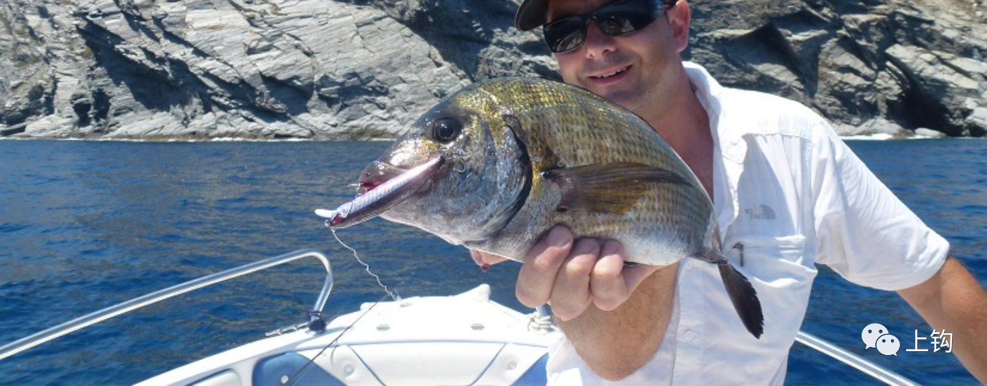 路亚假软饵上钩教程,野钓冷冻饵开饵教学