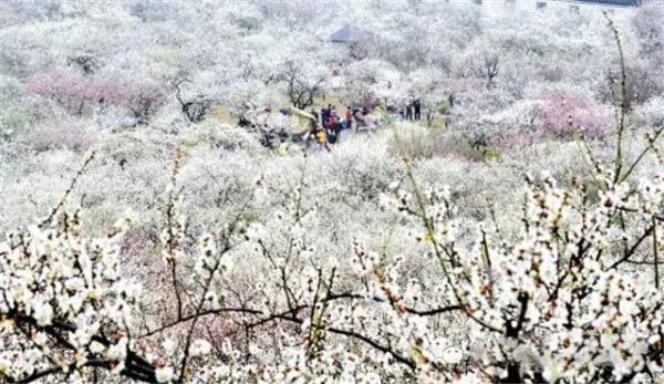 灵山县美丽风景图片高清大图,灵山秀水镇美景
