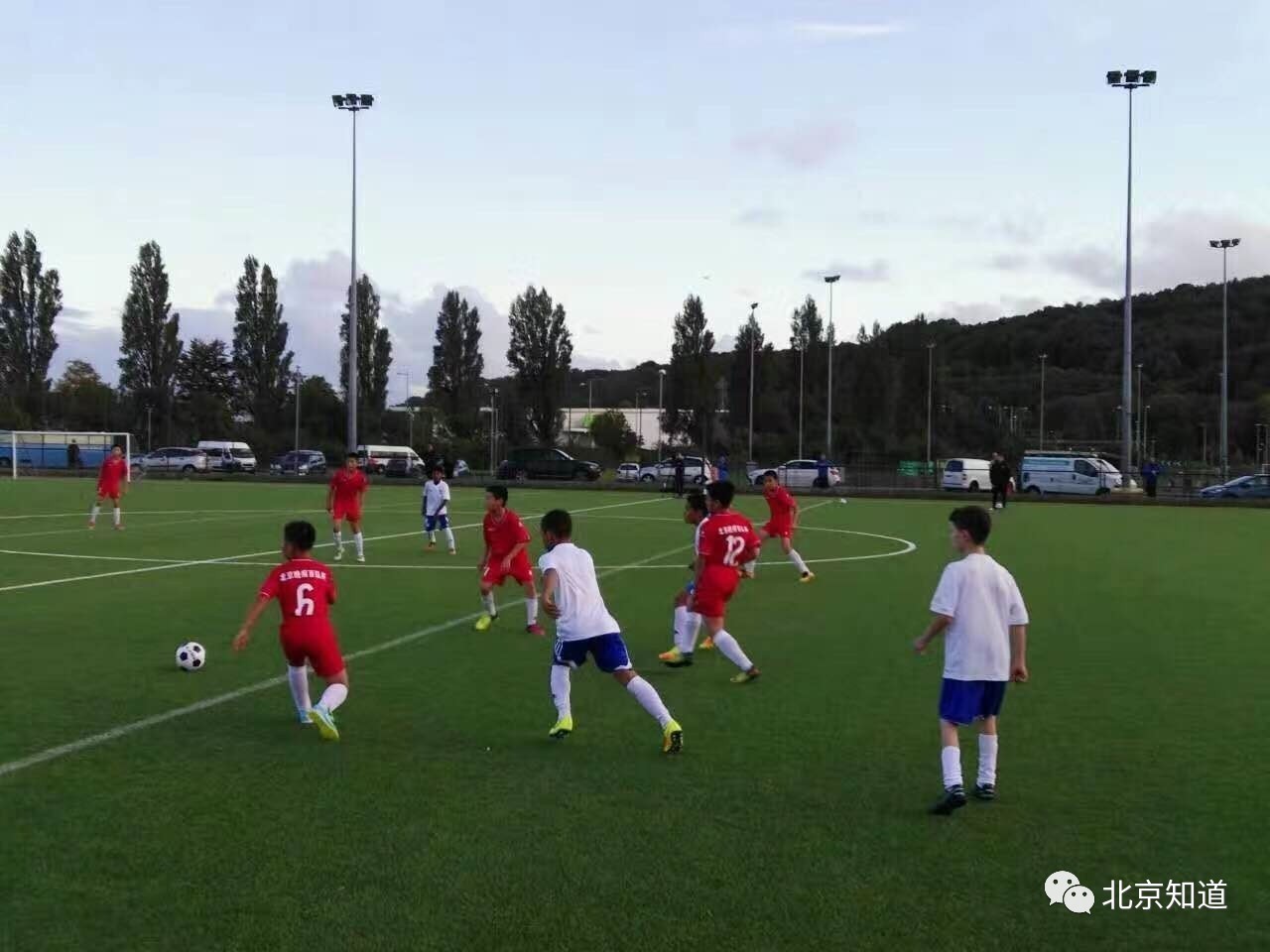 前男足国青队主帅踢球,前国脚有哪些