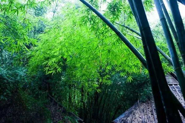 灵山县美丽风景图片高清大图,灵山秀水镇美景