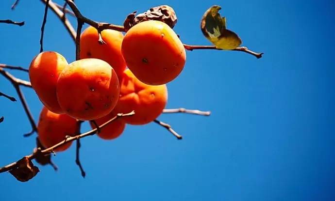 这才是青海人，终于有了答案