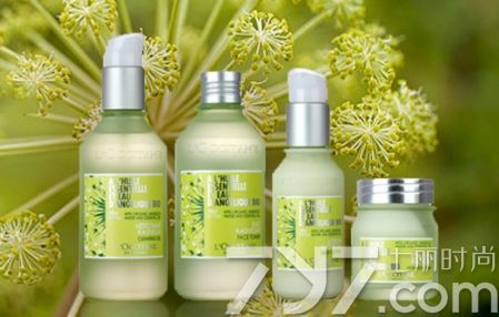 欧舒丹护肤身体油怎么样,欧舒丹哪一款适合油性皮肤