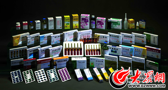 山东100强步长制药,山东菏泽步长制药有限公司