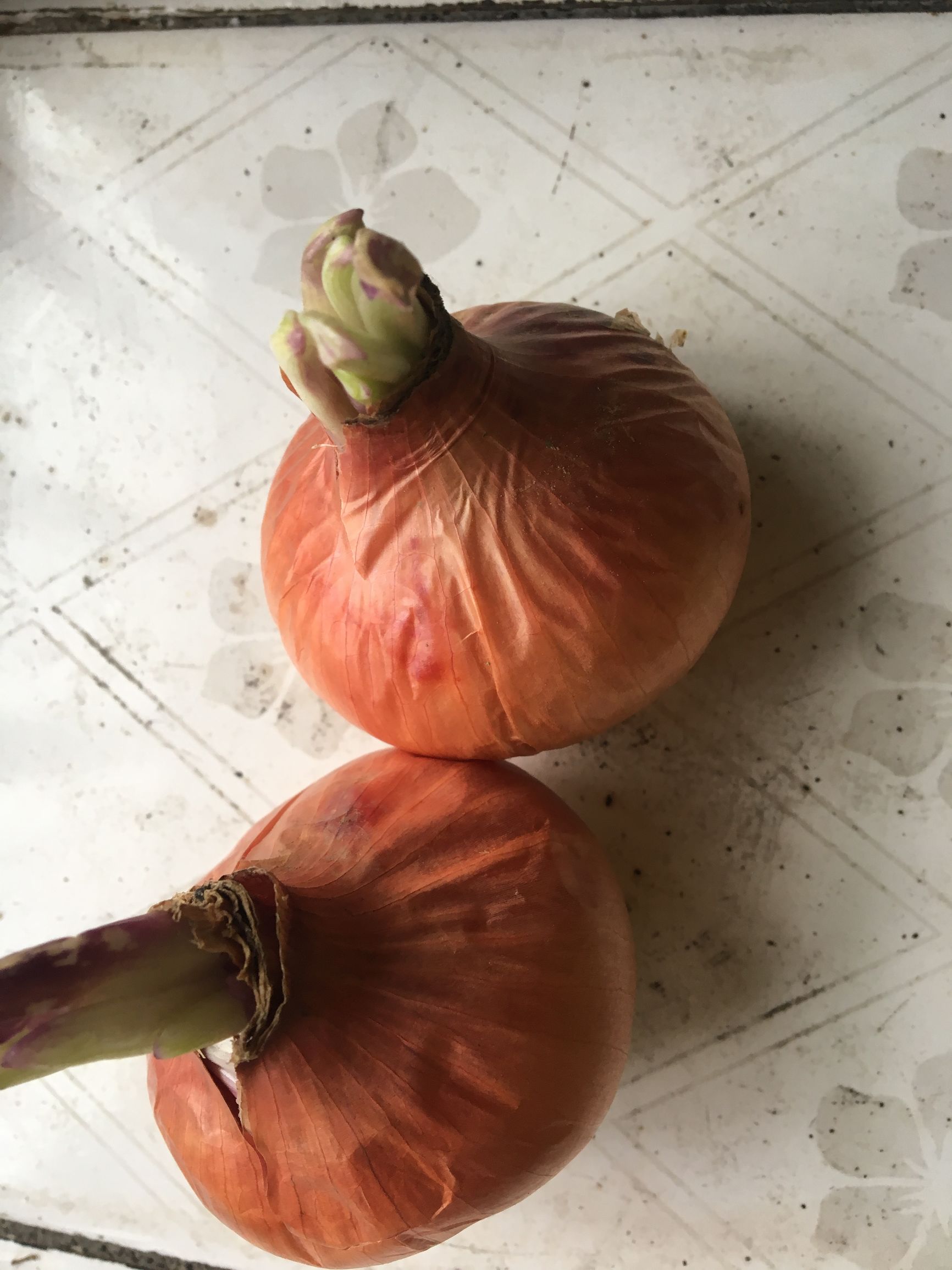 这个所有人都认识的东西，居然能减肥、治口腔溃疡！