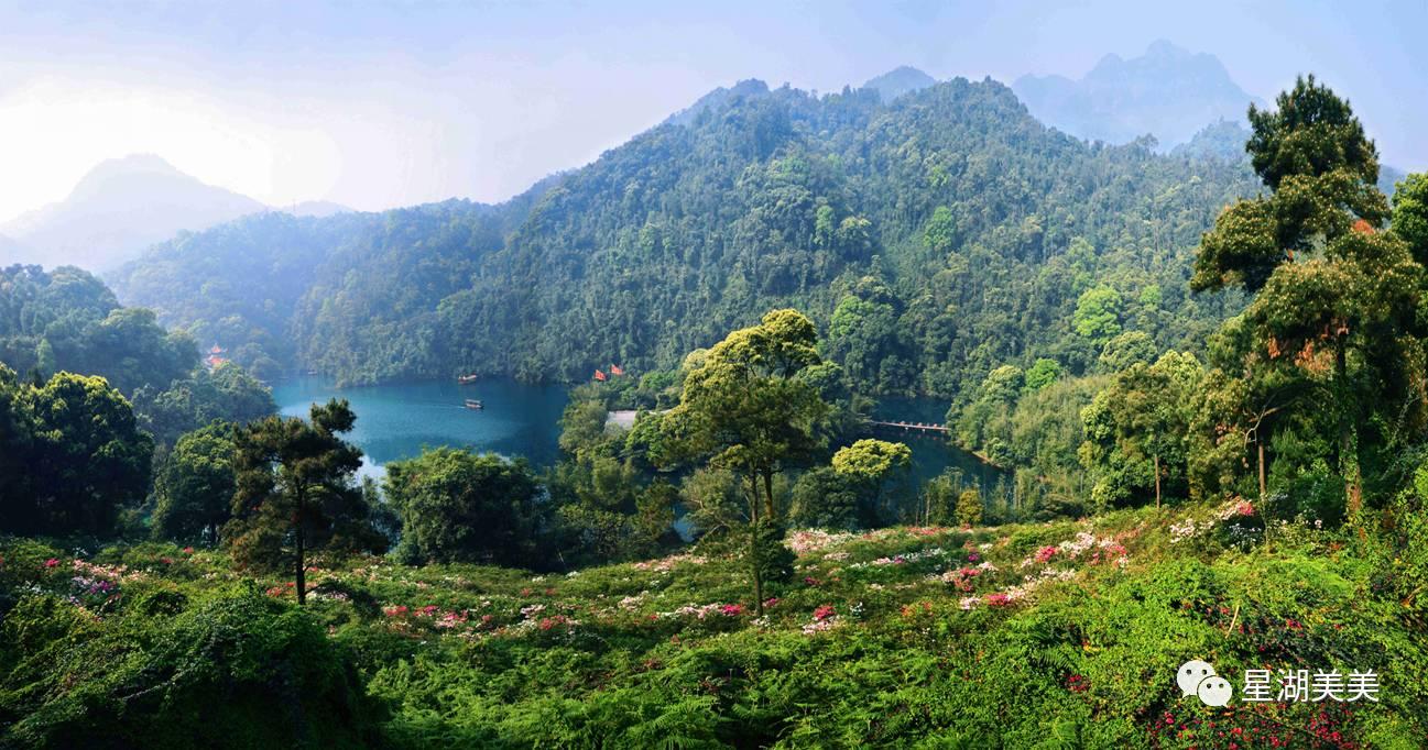 广东省肇庆市生态环境,肇庆生态文明