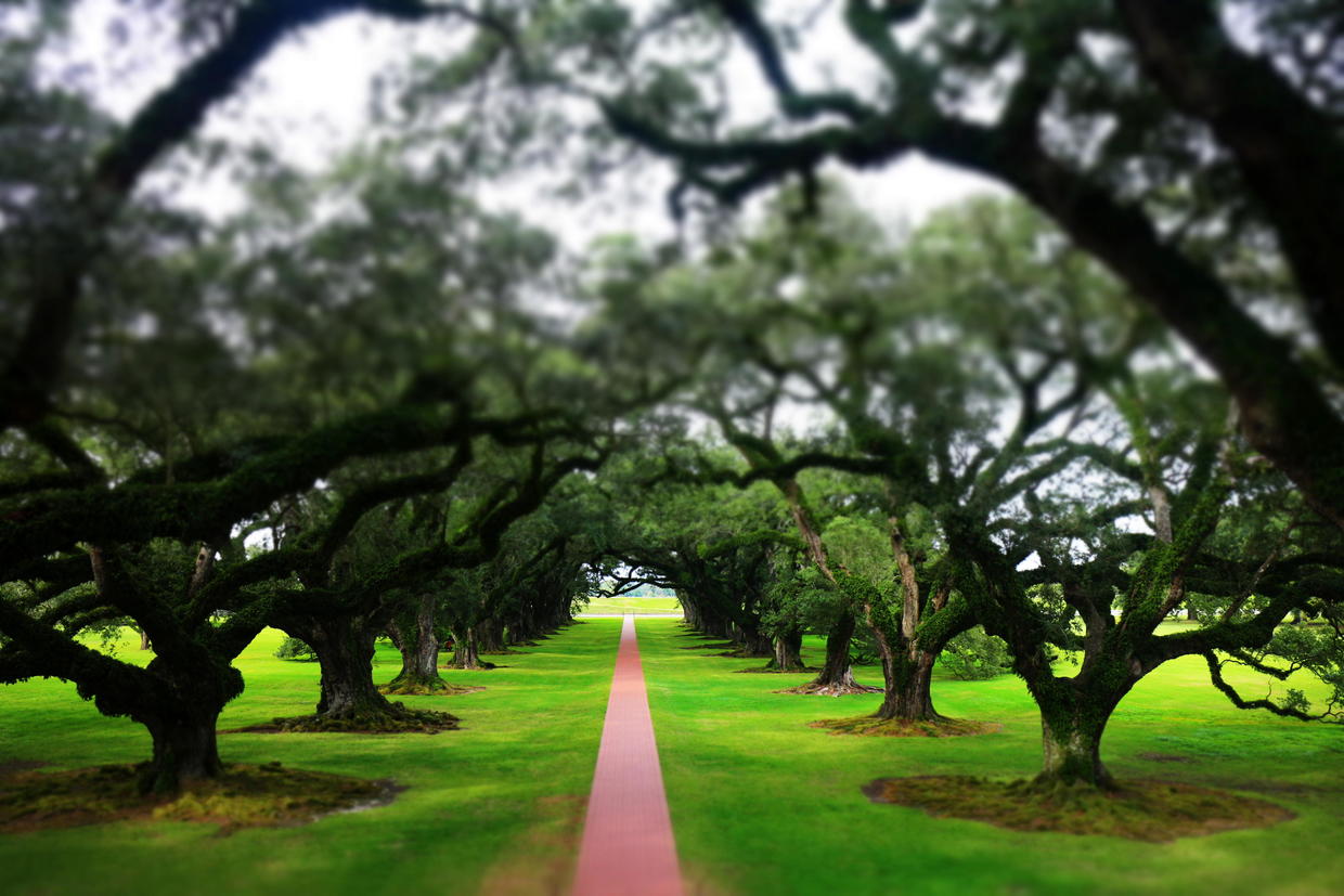 新奥尔良旅游景点攻略,新奥尔良旅游游记散文