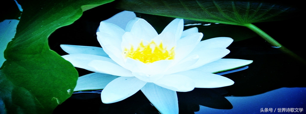 诗歌大赛第一名的诗,第一季诗词大赛